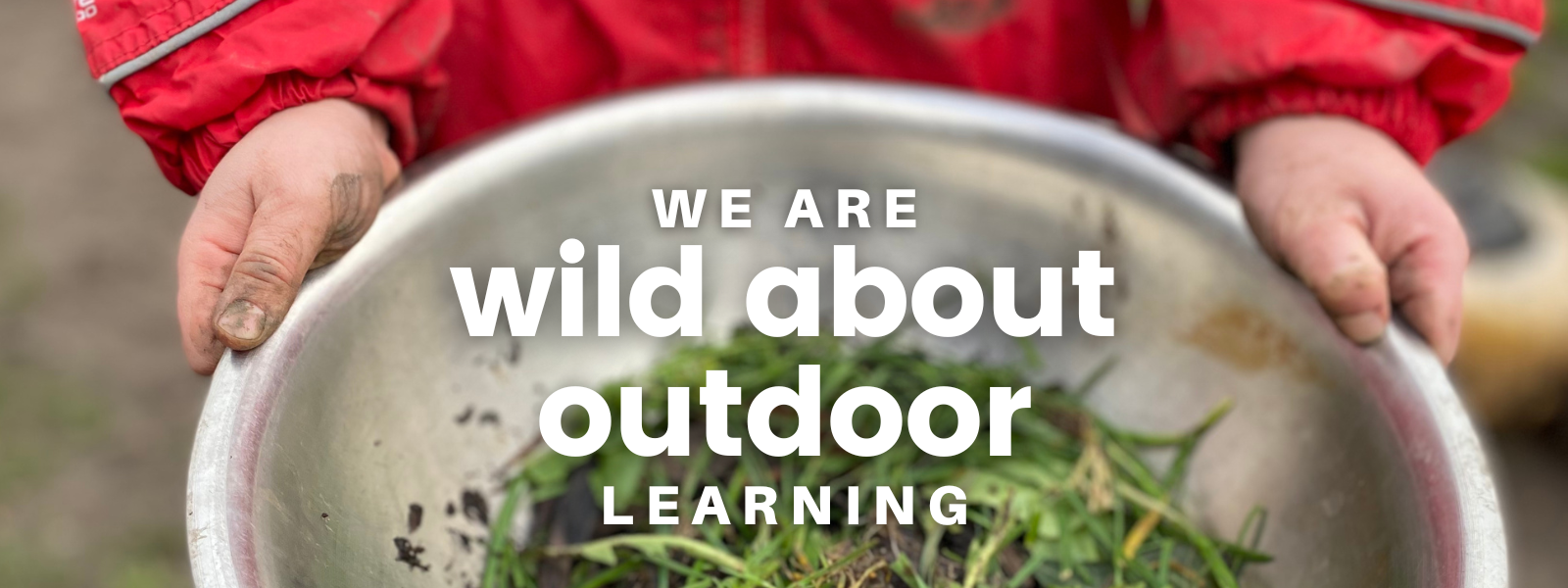wild about outdoor education